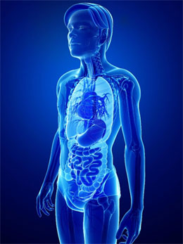 Surgical-Oncology
