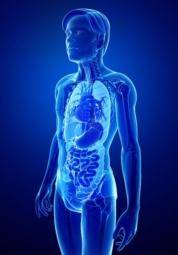 Surgical Oncology